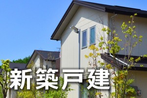 新築戸建